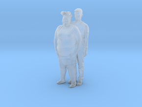 Printle C Couple 377 - 1/87 - wob in Clear Ultra Fine Detail Plastic