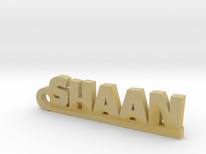 SHAAN_keychain_Lucky in Tan Fine Detail Plastic
