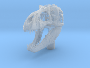 Finial Plug - T Rex skull in Clear Ultra Fine Detail Plastic