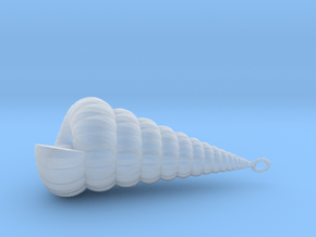 Clamshell - Mollusc Shell Charm 3D Model - Pendant in Clear Ultra Fine Detail Plastic