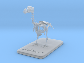DODOISMe skeleton  in Clear Ultra Fine Detail Plastic