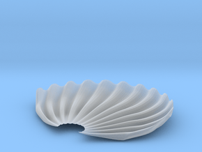 SEASHELL-3d in Clear Ultra Fine Detail Plastic