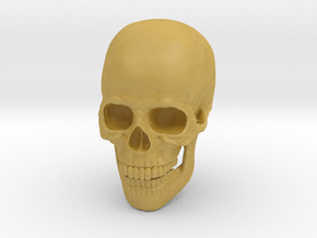 Full-Color 1:6 Scale Human Skull in Tan Fine Detail Plastic