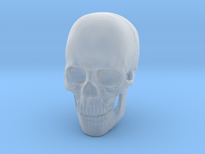 Full-Color 1:6 Scale Human Skull in Clear Ultra Fine Detail Plastic