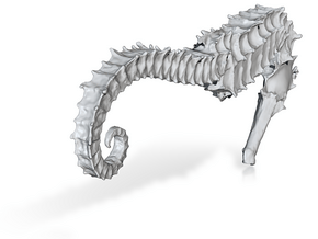 Sea horse, Seepferd, sea-horse in Clear Ultra Fine Detail Plastic