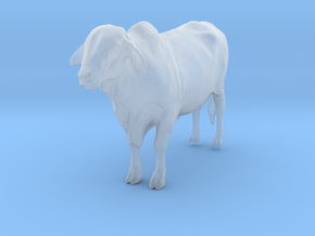 1/64 standing forward brahman cow in Clear Ultra Fine Detail Plastic