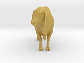 1/64 brahman cow looking right  in Tan Fine Detail Plastic