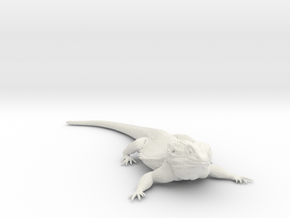 Realistic Bearded Dragon Model 1 of 3 in White Natural Versatile Plastic