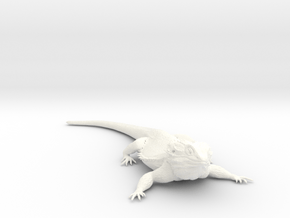 Realistic Bearded Dragon Model 1 of 3 in White Smooth Versatile Plastic