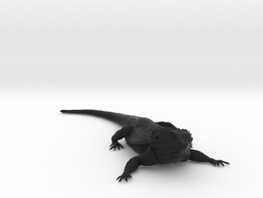 Realistic Bearded Dragon Model 1 of 3 in Black Smooth Versatile Plastic