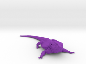 Realistic Bearded Dragon Model 1 of 3 in Purple Smooth Versatile Plastic