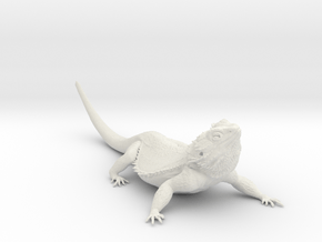 Realistic Bearded Dragon Model 2 of 3 in White Natural Versatile Plastic