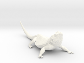 Realistic Bearded Dragon Model 2 of 3 in White Smooth Versatile Plastic
