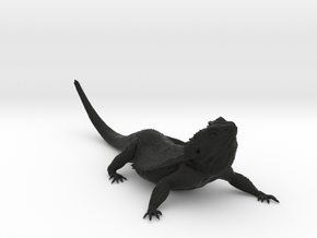 Realistic Bearded Dragon Model 2 of 3 in Black Smooth Versatile Plastic