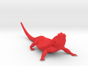 Realistic Bearded Dragon Model 2 of 3 in Red Smooth Versatile Plastic