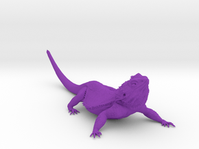 Realistic Bearded Dragon Model 2 of 3 in Purple Smooth Versatile Plastic