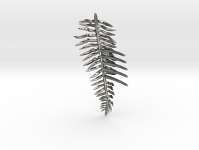 Sword Fern Comb in Polished Silver