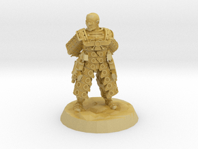 Space Persian Commander in Tan Fine Detail Plastic