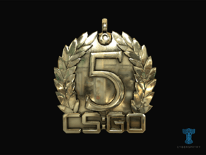 CS:GO - 5 Year Medallion in Polished Brass