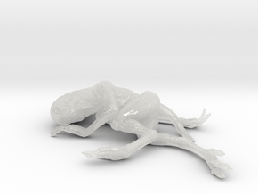 Alien Baby (20cm hollow) in Clear Ultra Fine Detail Plastic