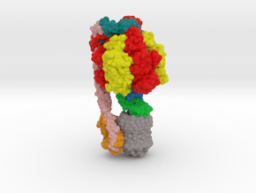 ATP Synthase 6OQV in Matte High Definition Full Color: Small