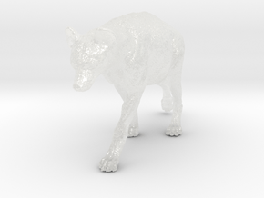 Spotted Hyena 1:64 Walking Female 1 in Clear Ultra Fine Detail Plastic