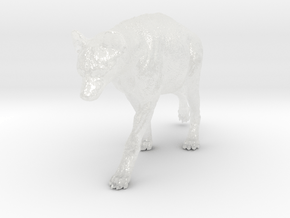 Spotted Hyena 1:45 Walking Female 1 in Clear Ultra Fine Detail Plastic