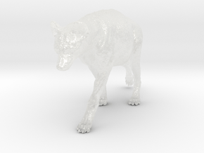 Spotted Hyena 1:35 Walking Female 1 in Clear Ultra Fine Detail Plastic