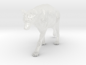Spotted Hyena 1:32 Walking Female 1 in Clear Ultra Fine Detail Plastic