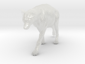 Spotted Hyena 1:12 Walking Female 1 in Clear Ultra Fine Detail Plastic