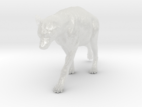 Spotted Hyena 1:9 Walking Female 1 in Clear Ultra Fine Detail Plastic