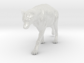 Spotted Hyena 1:6 Walking Female 1 in Clear Ultra Fine Detail Plastic