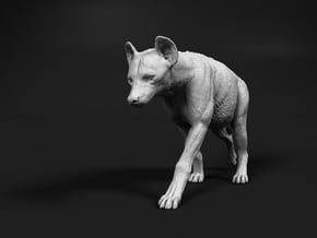 Spotted Hyena 1:12 Walking Female 1 in White Natural Versatile Plastic