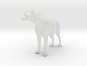 Spotted Hyena 1:6 Standing Male in Clear Ultra Fine Detail Plastic