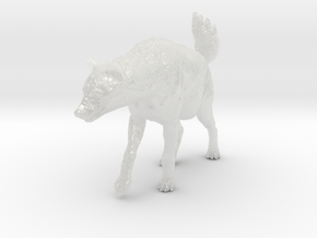 Spotted Hyena 1:6 Walking Female 2 in Clear Ultra Fine Detail Plastic