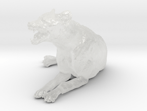 Spotted Hyena 1:35 Lying Male in Clear Ultra Fine Detail Plastic