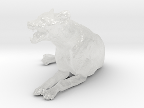 Spotted Hyena 1:25 Lying Male in Clear Ultra Fine Detail Plastic