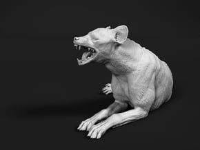 Spotted Hyena 1:20 Lying Male in White Natural Versatile Plastic