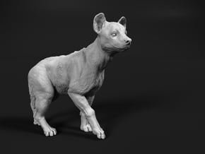 Spotted Hyena 1:12 Walking Cub in White Natural Versatile Plastic