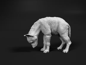 Spotted Hyena 1:12 Cub looking down in White Natural Versatile Plastic