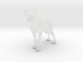 Spotted Hyena 1:35 Standing Male in Clear Ultra Fine Detail Plastic