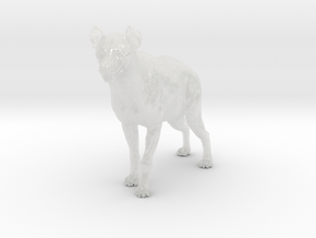 Spotted Hyena 1:9 Standing Male in Clear Ultra Fine Detail Plastic