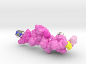Semaglutide (Colored, Plastics) in Smooth Full Color Nylon 12 (MJF): Small