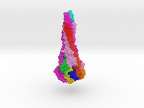 RSV Fusion Glycoprotein Postfusion 3RRR in Matte High Definition Full Color: Extra Small