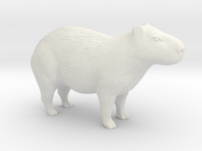 Printle Animal Capybara - 1/24 in White Natural Versatile Plastic