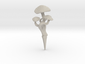 Mushroom Cluster in Natural Sandstone