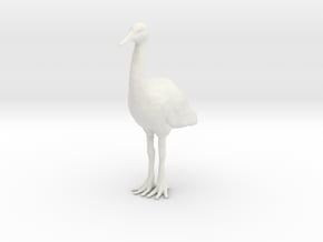 Printle Animal Crane - 1/24 in White Natural Versatile Plastic