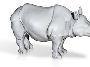 Digital-Rhino_t in Rhino_t