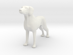 Printle Animal Dog 09 - 1/24 in White Natural Versatile Plastic