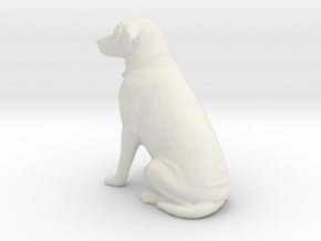 Printle Animal Labrador - 1/24 in White Natural Versatile Plastic